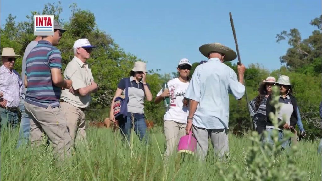 Los 4 Principios Clave del Manejo Inteligente