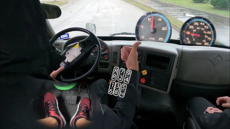 Licencia de Conducir en Cipolletti: Gu&iacute;a Completa