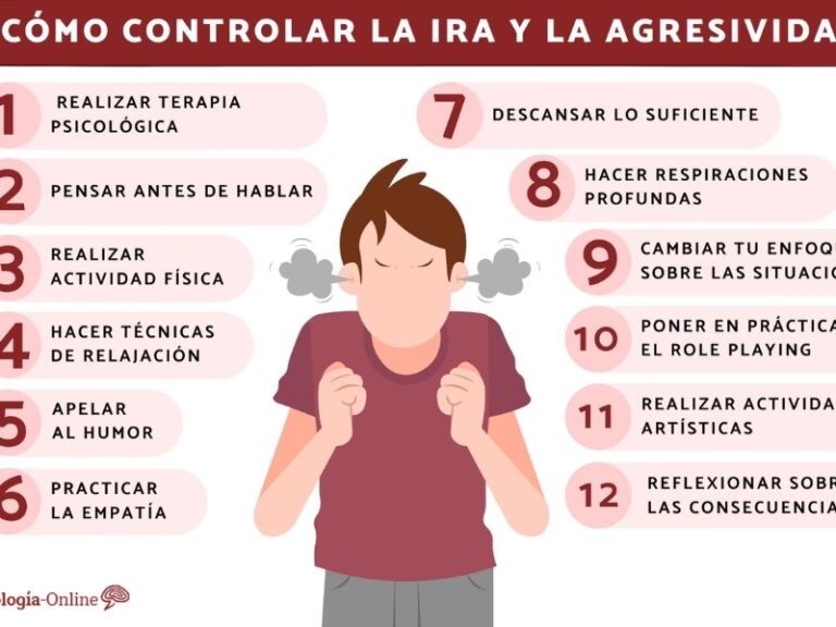 Controla tu Enojo al Volante: Gu&iacute;a Pr&aacute;ctica