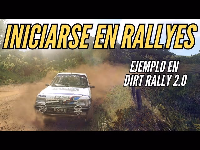 &iquest;DiRT Rally tiene pantalla dividida?