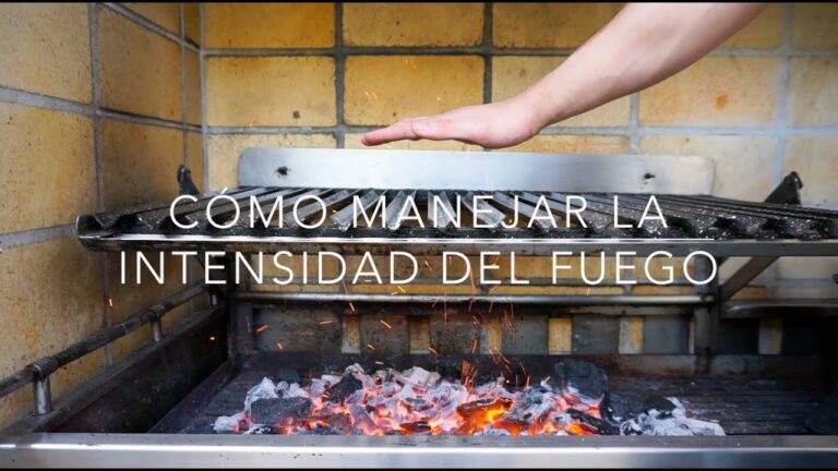 Gu&iacute;a Definitiva para Elegir tu Curso de Manejo