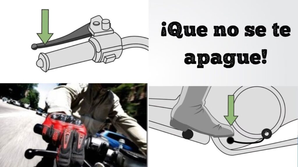 Dominando el Coche Estándar: Guía para Novatos