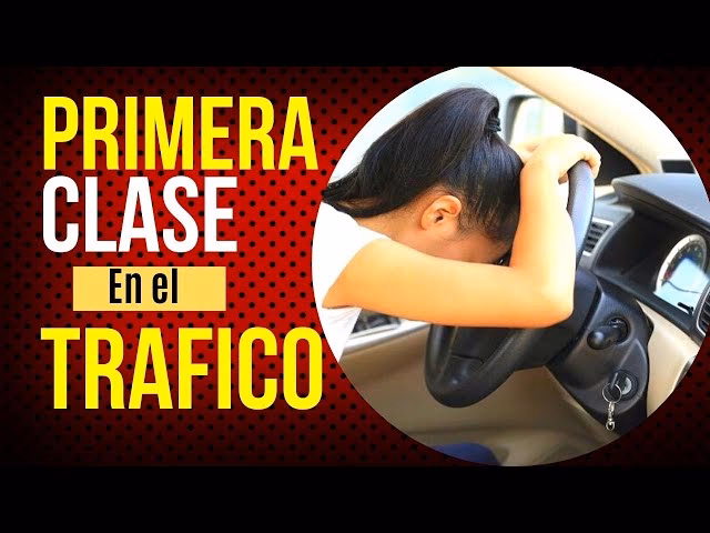 Gu&iacute;a Definitiva para Circular en Rotondas