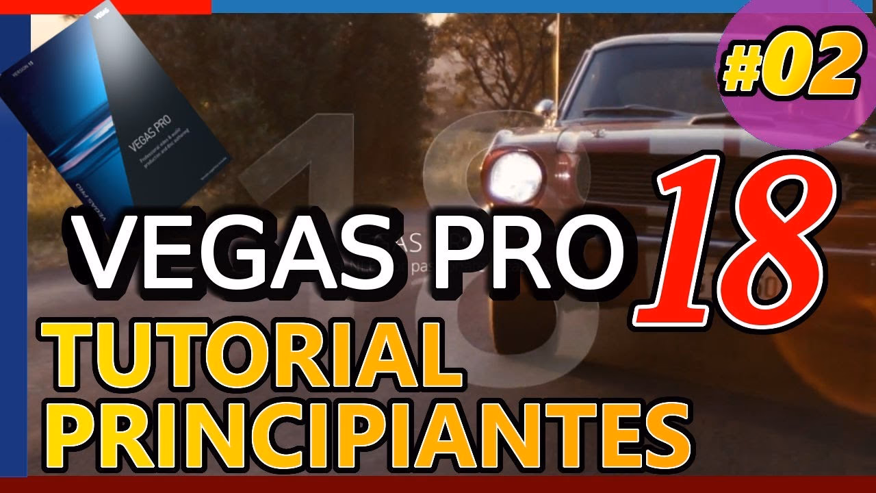 &iquest;Qu&eacute; tipo de licencia utiliza Sony Vegas?