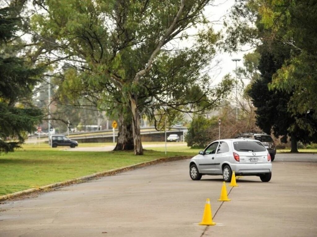Licencia de Conducir en Tres de Febrero: Guía 2024