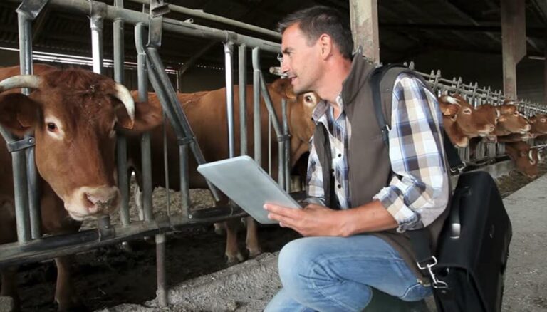 Conducir en el Campo: La Gu&iacute;a para el Rancho