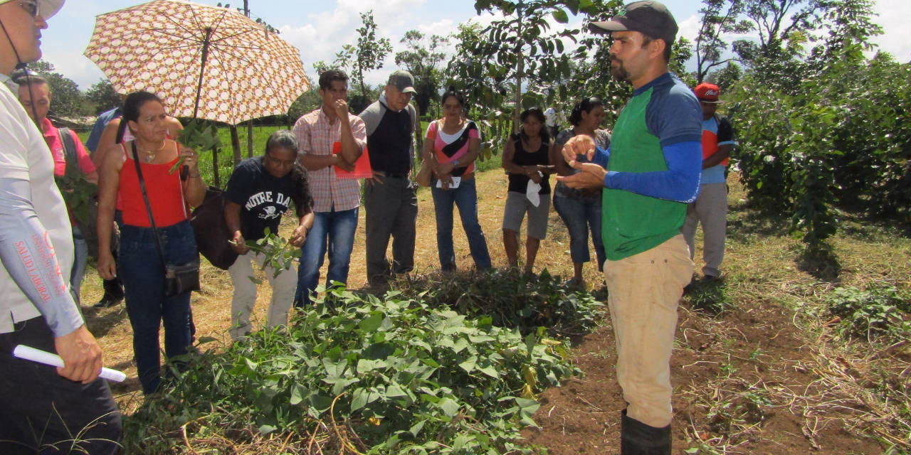 &iquest;Cu&aacute;ntos a&ntilde;os se estudia para ser agr&oacute;nomo?