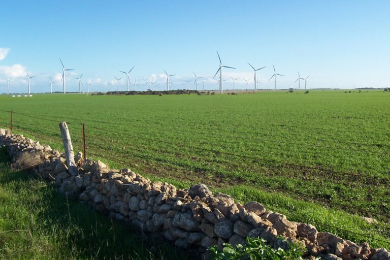 Carreras en Agronom&iacute;a: Duraci&oacute;n y Opciones