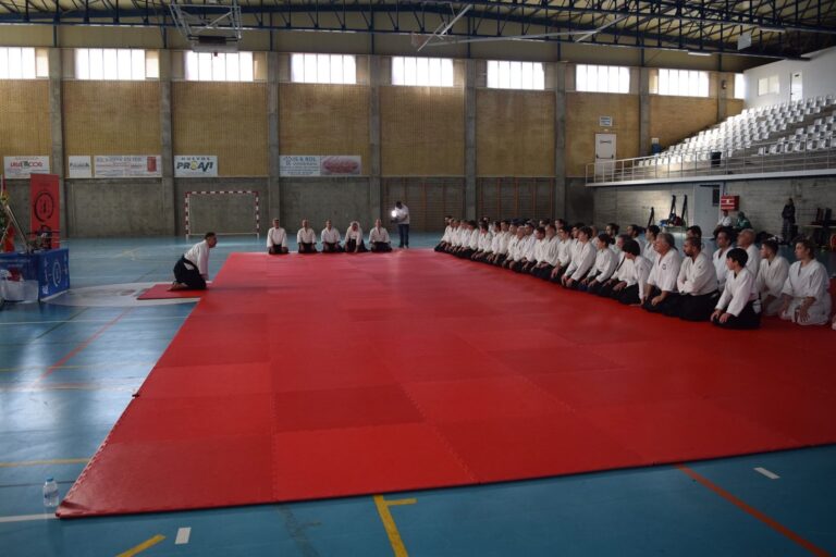 Aikido: Todo lo que necesitas saber para empezar