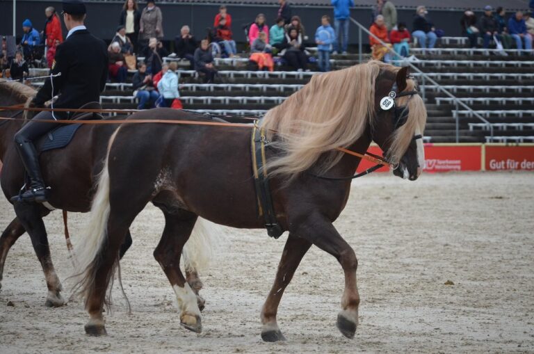 Clases de Manejo: &iquest;Cu&aacute;ntas Necesitas Realmente?