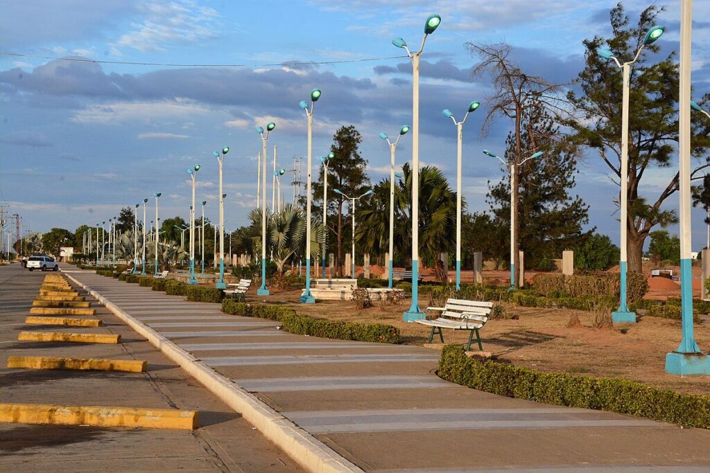 Aprender a Manejar en El Tigre: Guía Definitiva