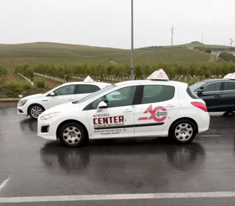 Gu&iacute;a de Licencias de Conducir en C&oacute;rdoba