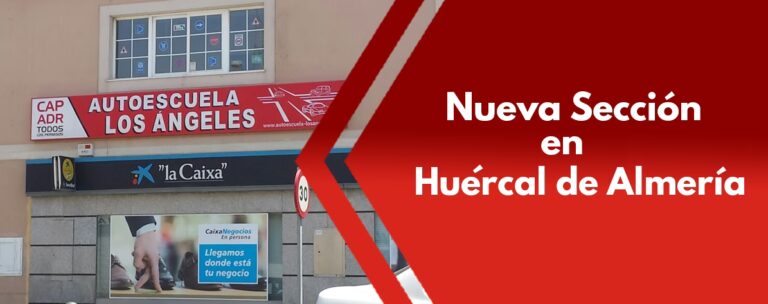 Clases de Manejo en Los &Aacute;ngeles: Costos y Gu&iacute;a