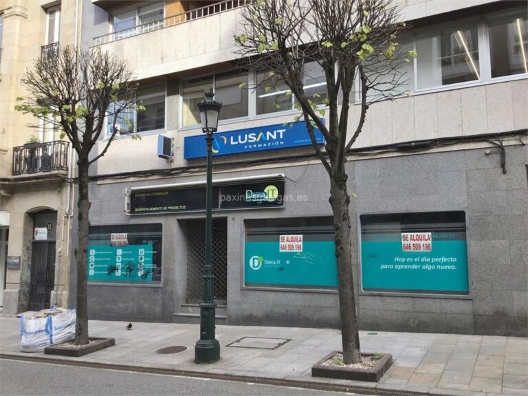 Coste del Carnet de Conducir en Vigo: Gu&iacute;a