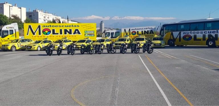 Precios del Carnet de Conducir en Molina, Granada