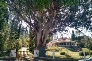 Bienvenidos al Valle de Punilla.