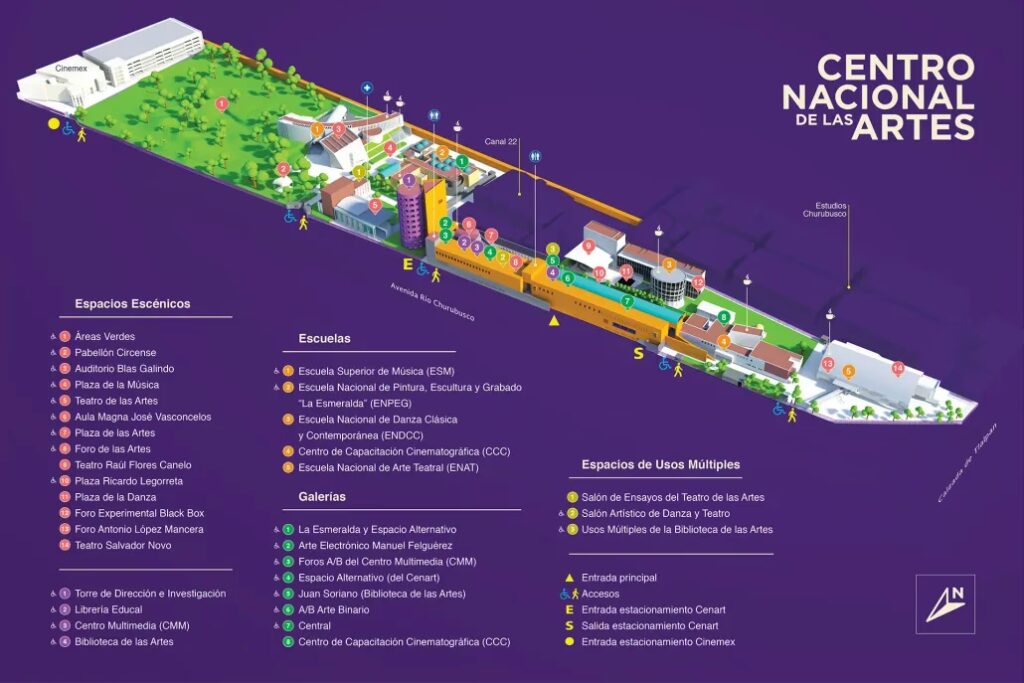 Elige la Mejor Autoescuela: Guía Definitiva