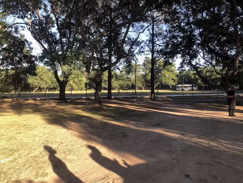 Centro de Habilitaci&oacute;n de Conductores de San Jos&eacute; del Rinc&oacute;n