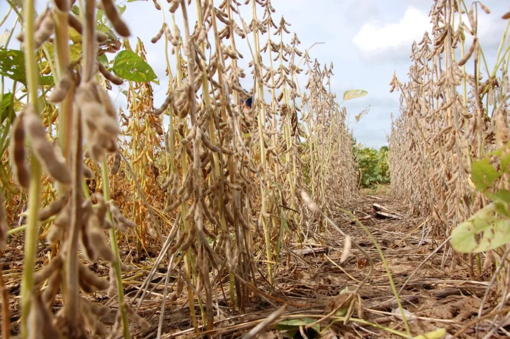 Guía Definitiva para Aprender a Manejar en 2024