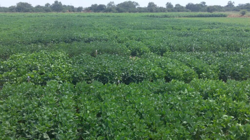 &iquest;Qu&eacute; son las buenas pr&aacute;cticas en microbiolog&iacute;a?