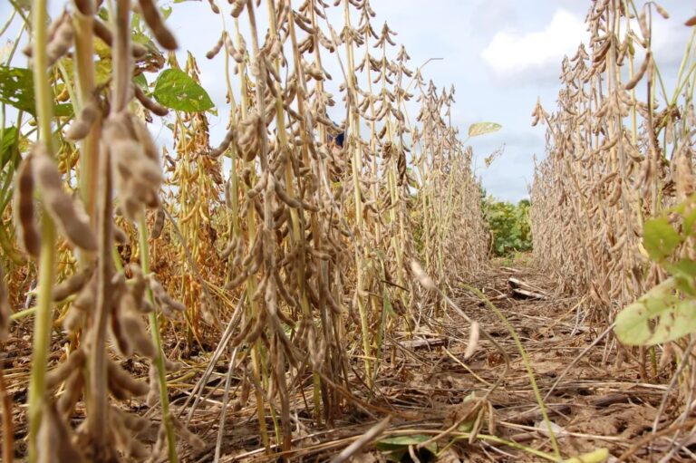 Gu&iacute;a Definitiva para Aprender a Manejar en 2024