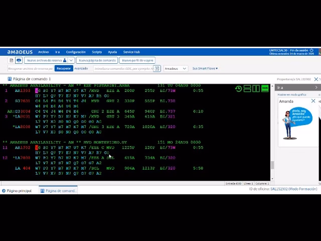 &iquest;Cu&aacute;nto tiempo se tarda en aprender Amadeus?