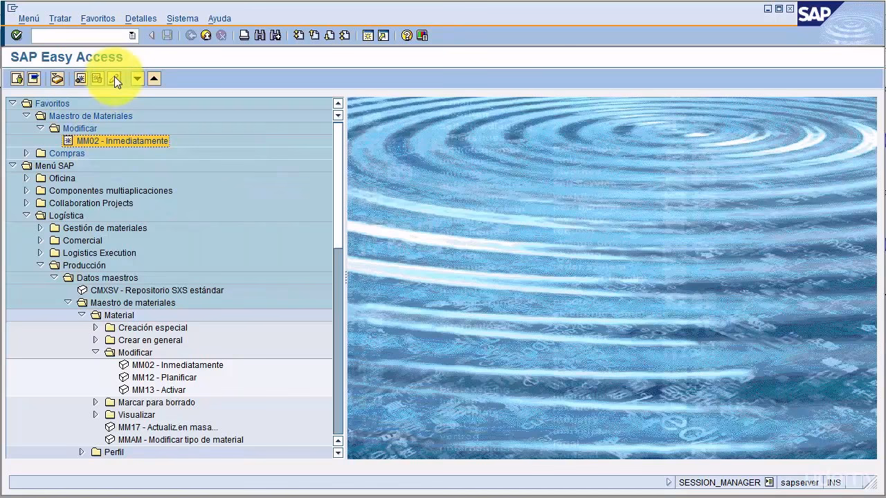 &iquest;Qu&eacute; es SAP y c&oacute;mo aprenderlo?
