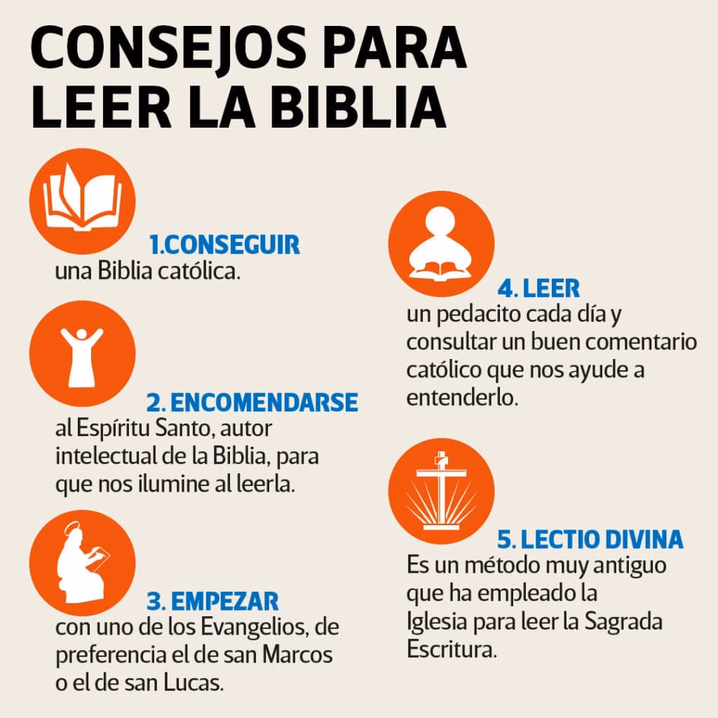 &iquest;C&oacute;mo ense&ntilde;ar a manejar la Biblia?