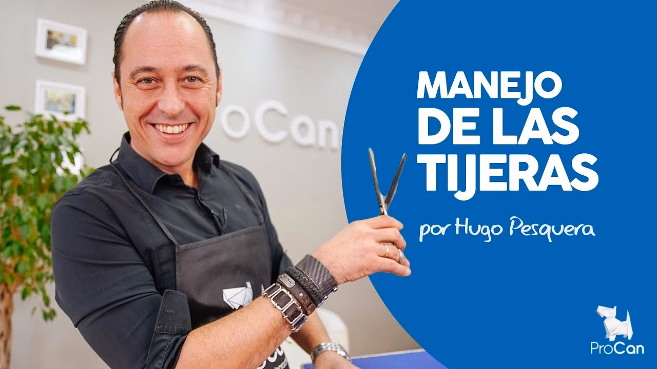 ¿Cuáles son las principales técnicas de peluquería canina?