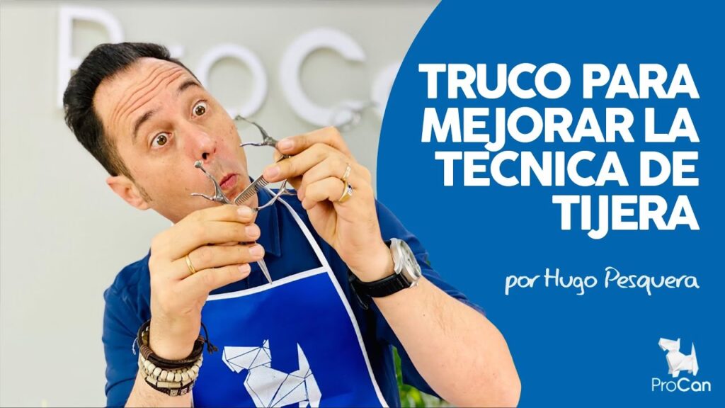 Guía Completa de Peluquería Canina para Novatos