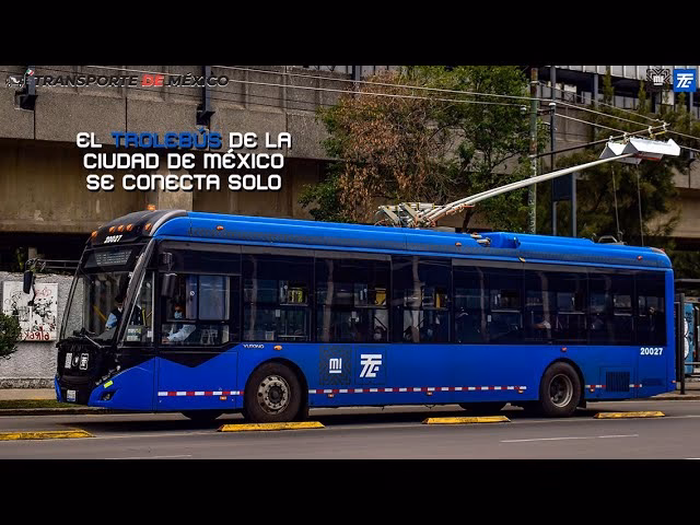 C&oacute;mo Manejar un Troleb&uacute;s: Gu&iacute;a Completa del Oficio