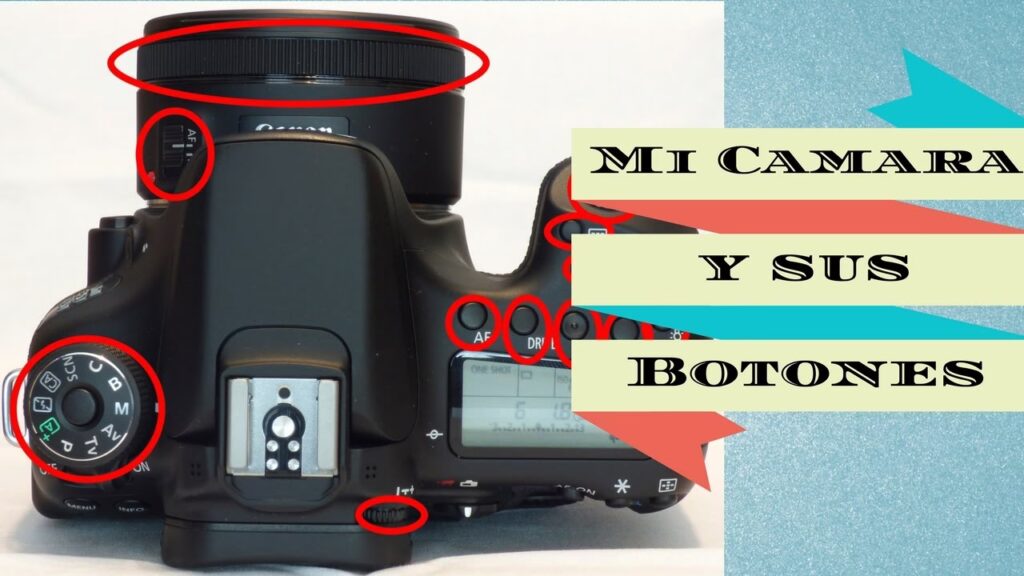 Clases de Manejo: Tu Guía para la Licencia