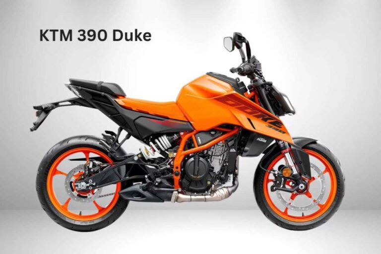 Tu Primera Moto: Las M&aacute;s F&aacute;ciles para Empezar