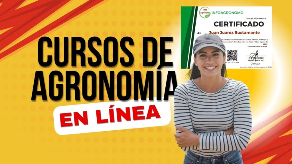 El Arte de Manejar: Tu Guía Definitiva 2024