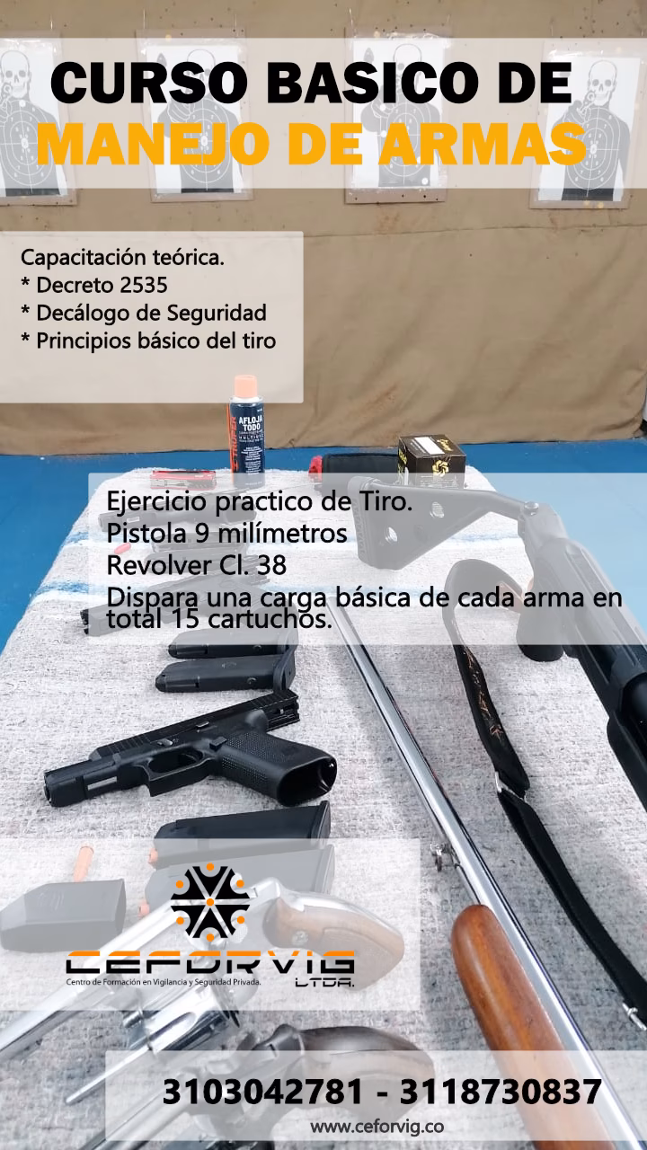 &iquest;Cu&aacute;nto cuesta la licencia de arma?