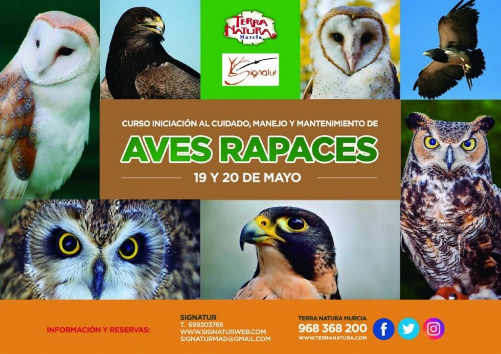 Guía Completa sobre el Arte de la Cetrería