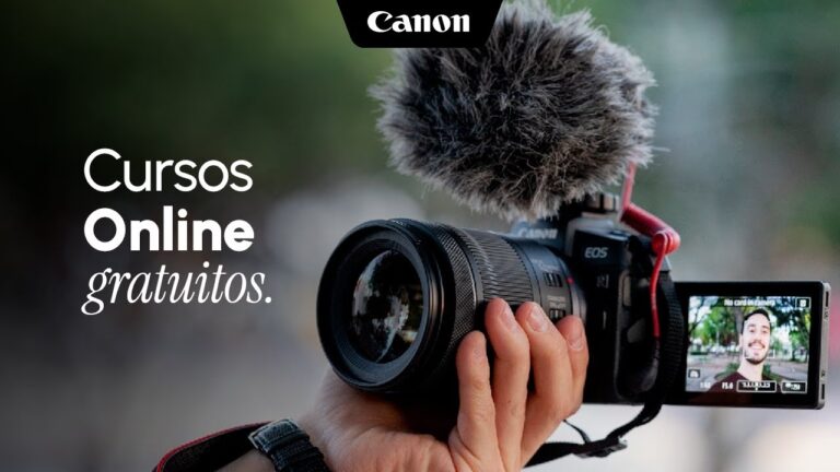 Aprender a Manejar: El Arte de Ver la Carretera