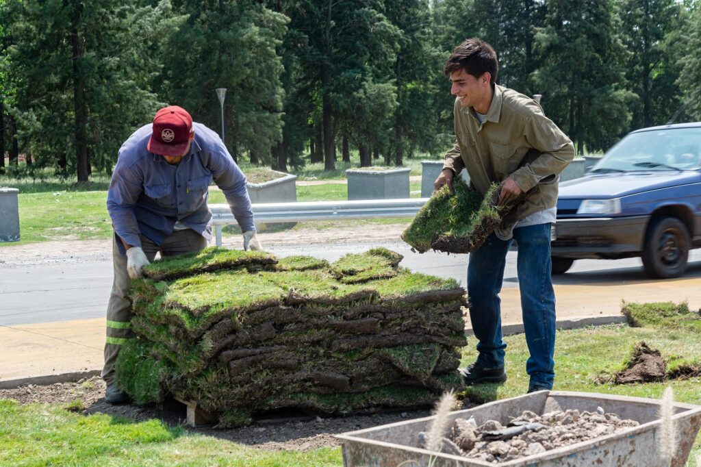 Gestión de Césped: Formación y Carrera Profesional