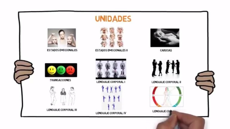 Lee la Carretera: El Lenguaje No Verbal al Volante