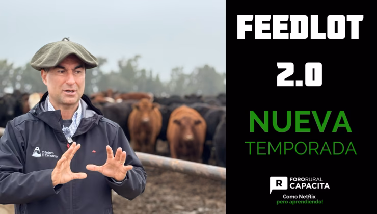 Gu&iacute;a Definitiva para Aprender a Manejar