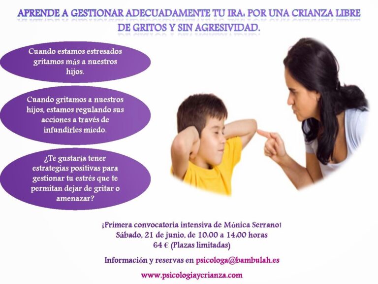 Controla tu Ira al Volante: Gu&iacute;a de Cursos