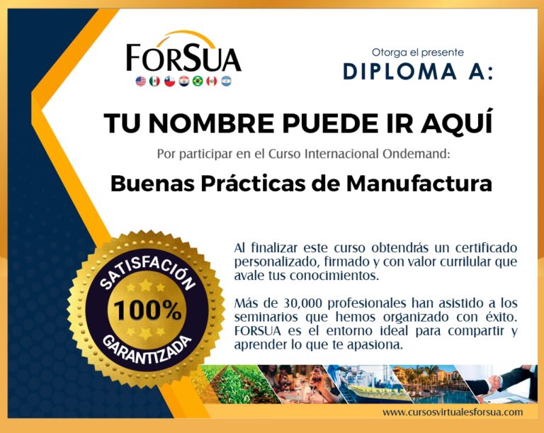 Gu&iacute;a Definitiva para Aprender a Manejar en 2024