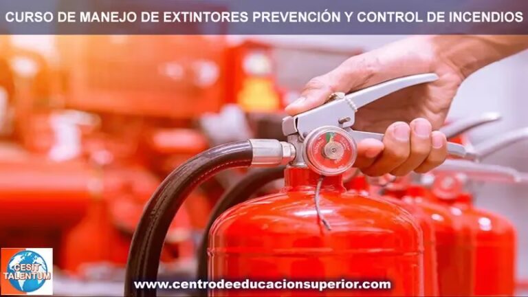 El Extintor para tu Coche: Gu&iacute;a Esencial