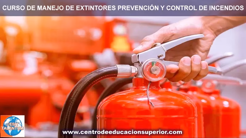 El Extintor para tu Coche: Guía Esencial