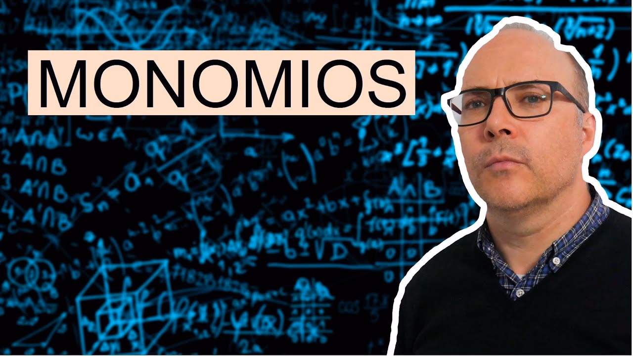 ¿Qué estudiar para trabajar con monos?