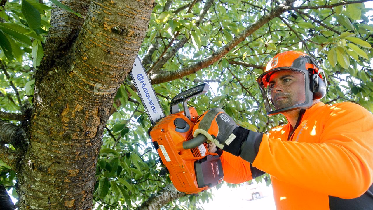 &iquest;Cu&aacute;nto cuesta el curso de formaci&oacute;n en el uso de motosierras?
