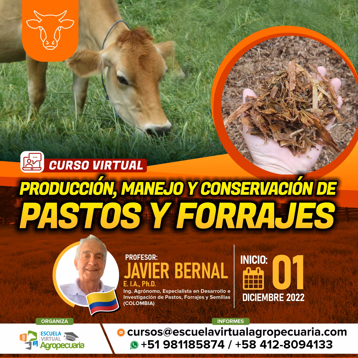 ¿Cuál es el mejor curso de agricultura para principiantes?