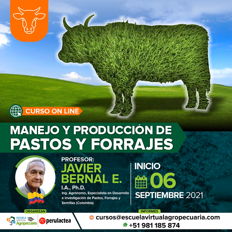 ¿Qué debo estudiar para ser ganadero?