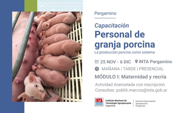 Gu&iacute;a Definitiva para Aprender a Manejar en 2024