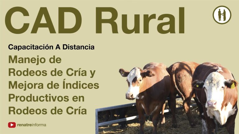Gu&iacute;a para Iniciarse en el Deporte del Rodeo